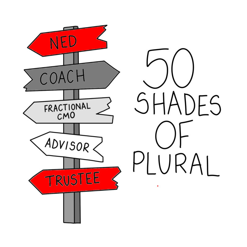 50 shades of plural: how to decide what  sort of plural portfolio career is right for you